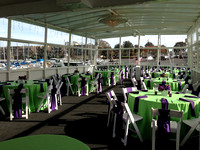 Lime and Purple Party Deck